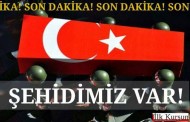 Sur’da yine şehit!