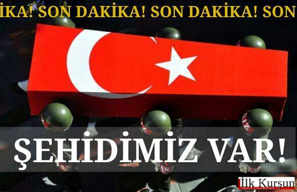 Sur’da yine şehit!