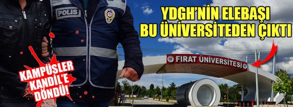 Üniversiteler PKK yuvası oldu: YDGH’nin başı üniversiteli çıktı!
