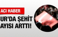 Diyarbakır Sur'dan son haber şehit sayısı arttı