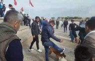 İskenderun'da köpek vahşeti