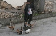 Yaşlılık aylığı ile kedi ve köpeklere bakıyor