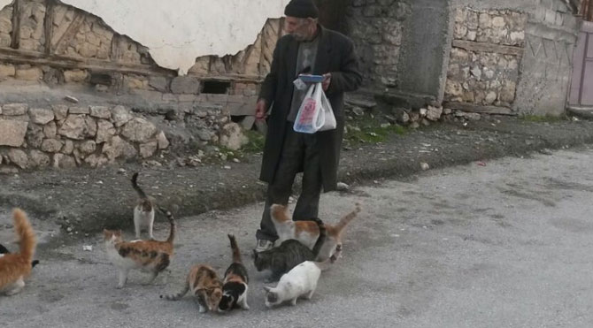 Yaşlılık aylığı ile kedi ve köpeklere bakıyor