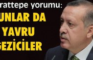 Erdoğan Artvinlileri de çapulcu ilan etti: Bunlar da yavru Geziciler