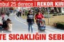 Uşak'ta bir kişi H1N1 virüsünden öldü