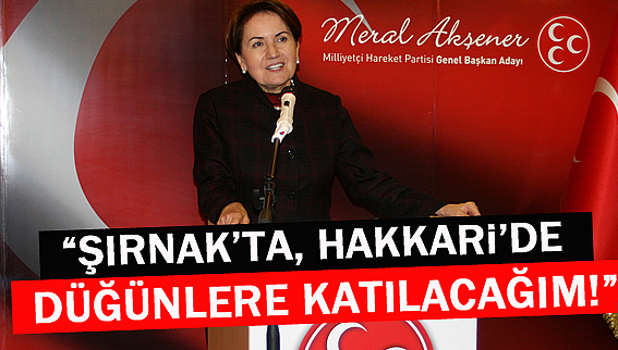 Meral Akşener’e 150 Akademisyenden destek!