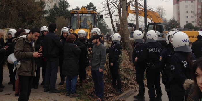 Polis barikatı arkasında ağaç katliamı