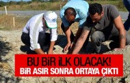 Çanakkale’de bir ilk! Bir asır sonra ortaya çıktı