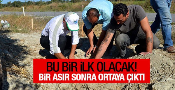 Çanakkale’de bir ilk! Bir asır sonra ortaya çıktı