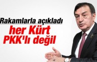 Osman Pamukoğlu: Kürtler PKK’yı desteklemiyor