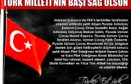 Türker Ertürk: FELAKET SÜRECİ
