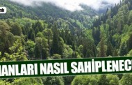 Arslan Bulut: Ormanları nasıl sahiplenecekler?