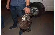 YOL ORTASINDAKİ ŞÜPHELİ ÇANTA FÜNYE İLE PATLATILDI