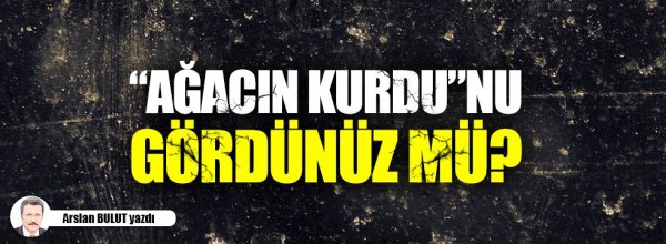 Arslan Bulut: “Ağacın Kurdu”nu gördünüz mü?