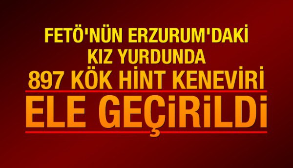 FETÖ’nün Erzurum’daki kız yurdunda 897 kök Hint keneviri ele geçirildi