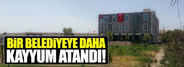 İdil Belediyesi’ne Kayyum Atandı