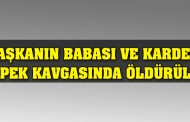 Ladik'te köpek kavgası : 2 ölü