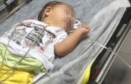 8 aylık bebek uyuşturucu komasına girdi