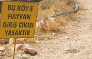 6 ay süreyle kuduz karantinasında