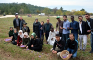 Yabancı Öğrenciler Safran Hasadı Yaptı