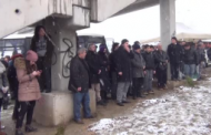 Çam Ağaçlarının Kesilmesi, Fidan Dikimiyle Protesto Edildi