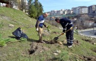 Karabük'te Fidan Dikimi