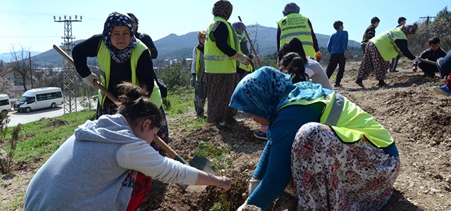 Üç İlde 52 Milyon Fidan Toprakla Buluşturuldu