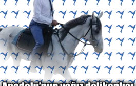 ALPARSLAN BAŞEĞMEZ YAZIYOR... İYİ GÜNLERE ULAŞACAĞIZ TÜRKİYE’M...