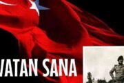 ALPARSLAN BAŞEĞMEZ YAZIYOR... SOROZLAR VE HOROZLAR…