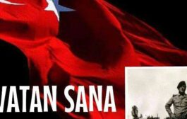 ALPARSLAN BAŞEĞMEZ YAZIYOR... SOROZLAR VE HOROZLAR…